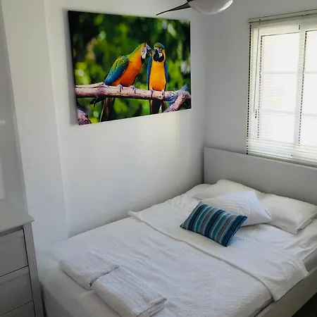 Apartment Paraiso Del Mar
